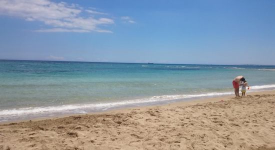 Salamis beach