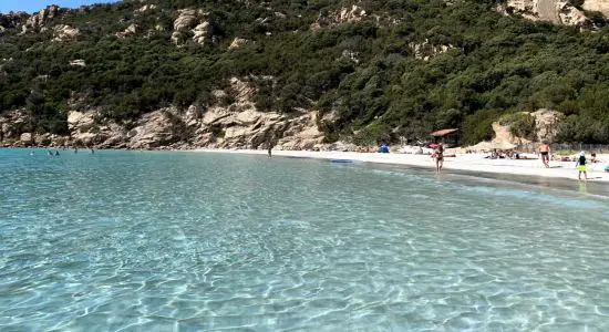 Roccapina Plajı