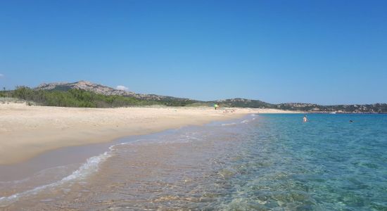 Playa Tralicetu