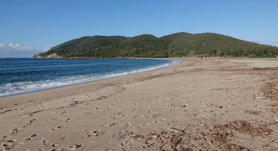 Chiuni beach