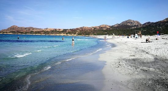 Ostriconi Plajı