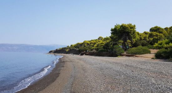 Almýra beach