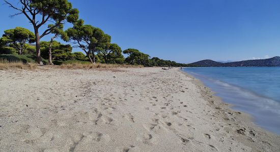 Playa de Schinias