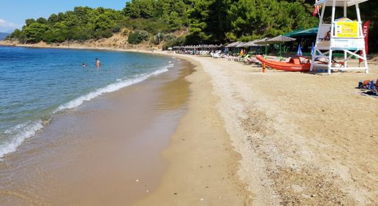 Agia Eleni Plajı