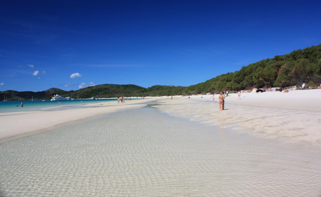 Photo of Whitehaven Beach with white fine sand surface