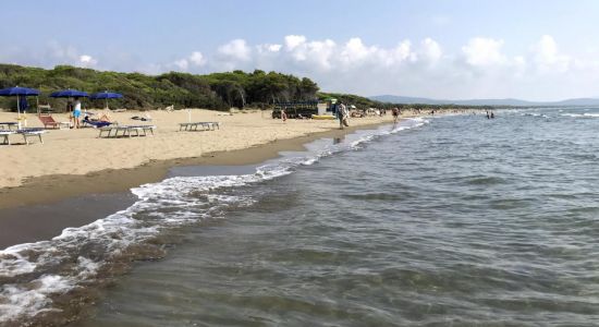 The Feniglia beach