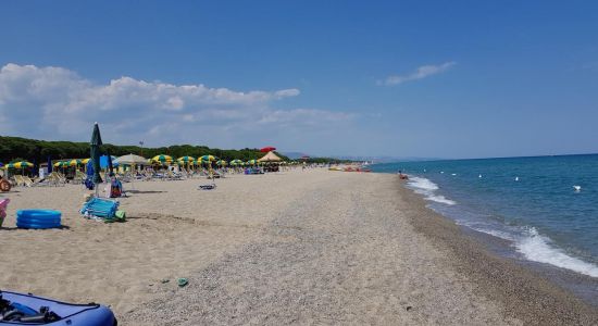 Salicetti beach