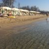 Metaponto Lido beach II