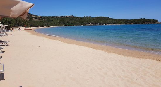 Playa Vena Longa