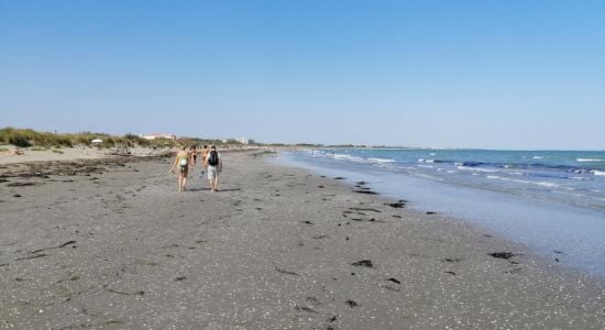 Playa Alberoni