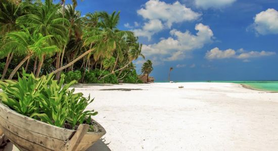 Playa del Resort AaaVeee