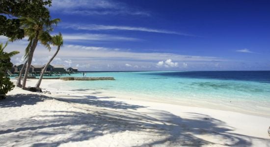 Playa del Resort Centara Ras Fushi