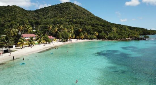 Playa Anse Figuier
