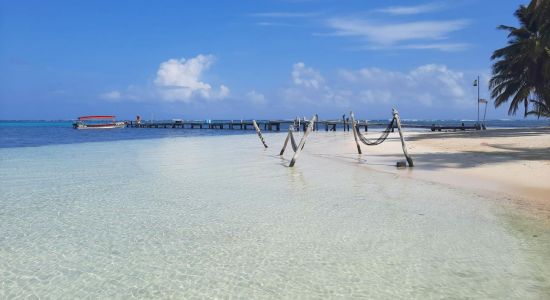 Playa de la Isla Yani