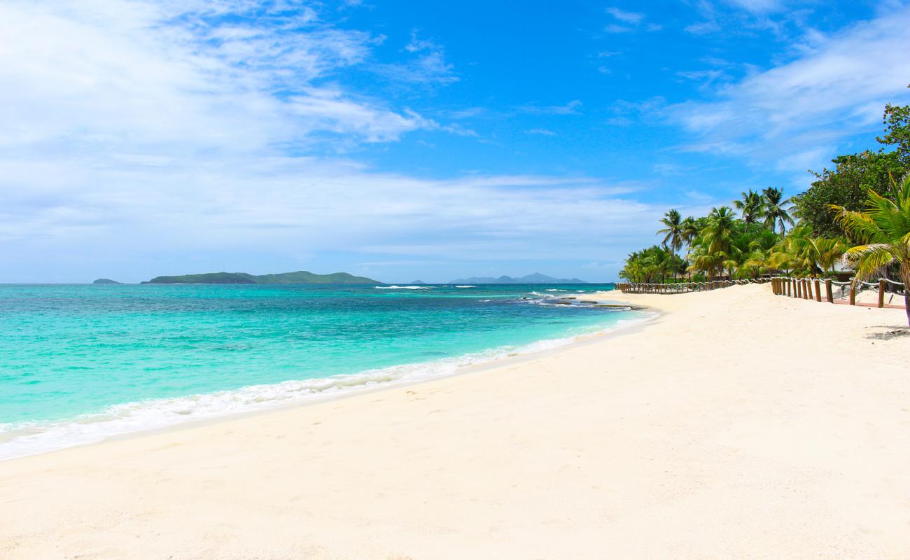 Photo of Palm Island beach with white sand surface