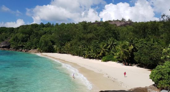 Anse Soleil Beach