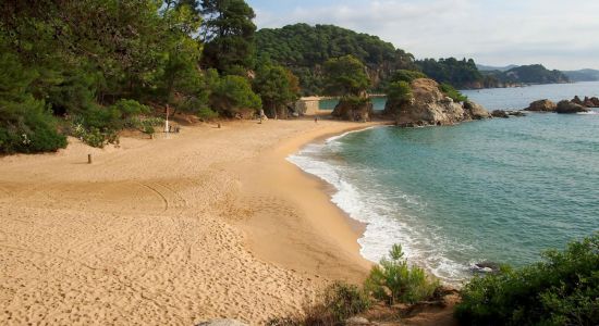 Cala Treumal beach