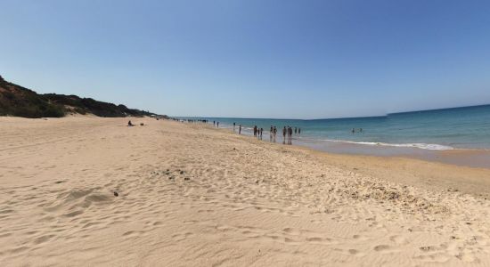 Puerco Plajı