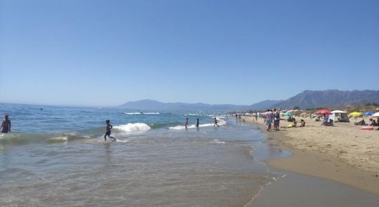 Playa De Zaragoza
