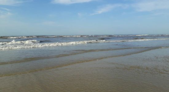 Golfinho Beach