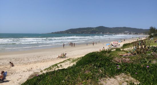 Garopaba Beach
