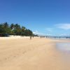 Coqueiros Beach