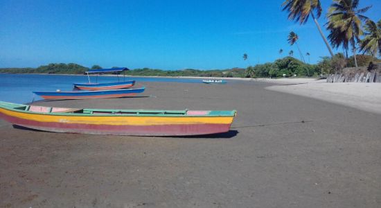 Playa de Río Mamanguape