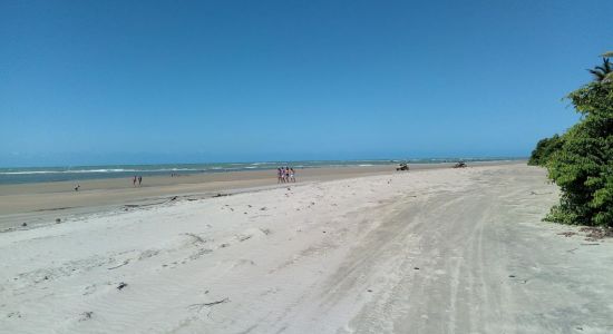 Baleia Beach