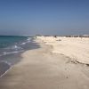 Playa de Saadiyat