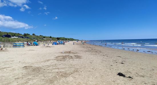 Playa de Alnmouth