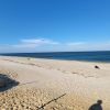 Sandy Neck Plajı