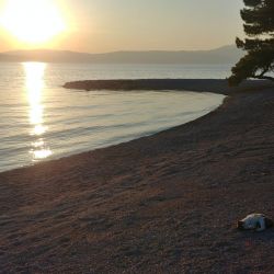 Foto af Adriatic II beach faciliteter område